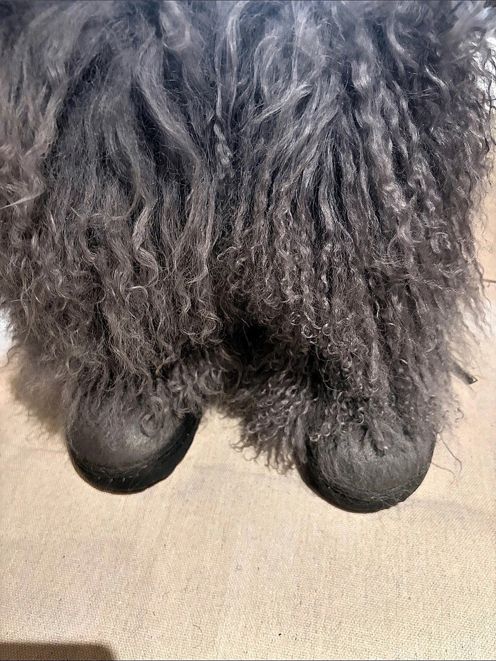 Bear paws Classic Curly Winter Boots Gray